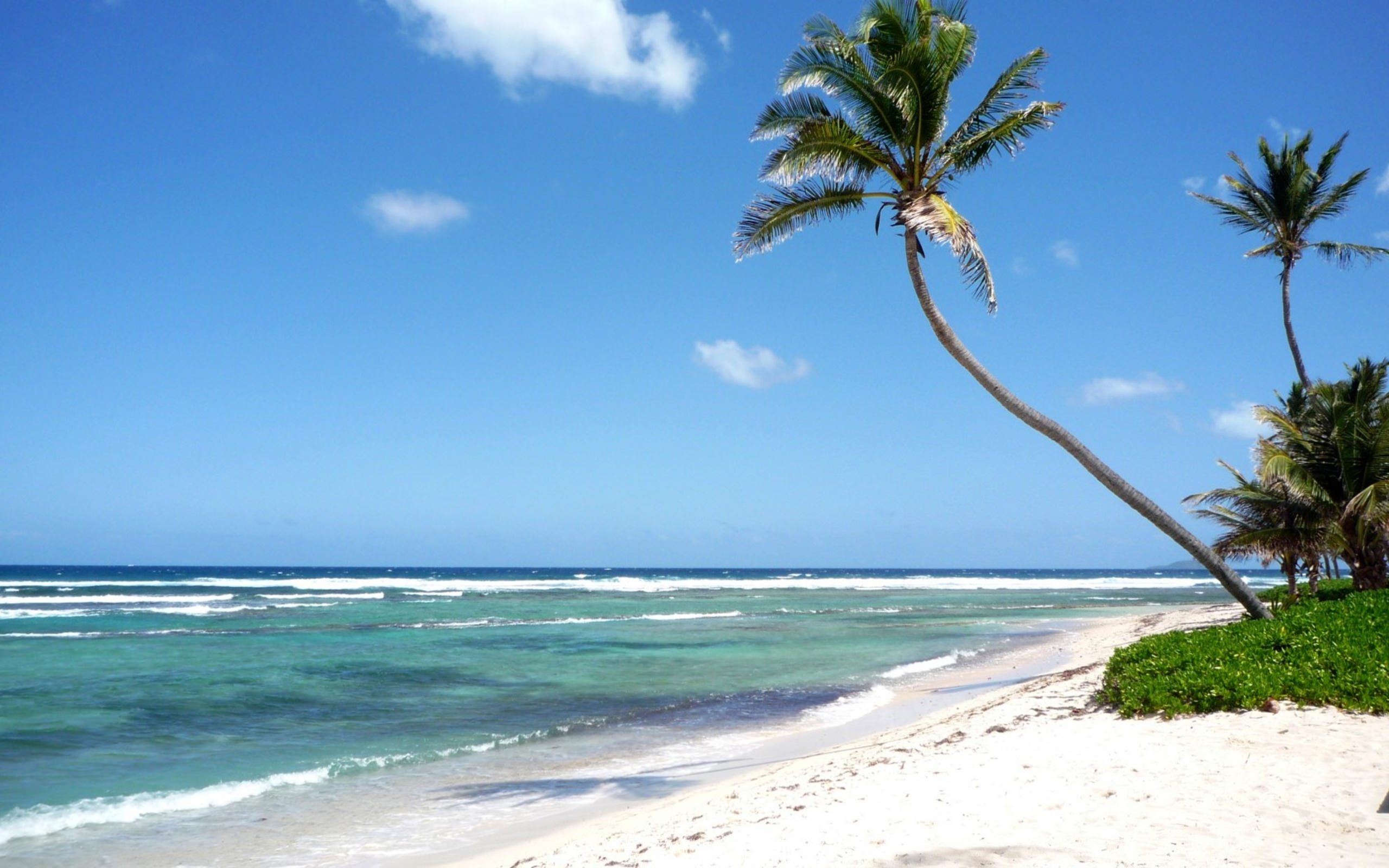 море, лето, остров, пальмы, солнце, песок, небо, красивые обои, Sea, summer, island, palm trees, sun, sand, sky, beautiful wallpaper