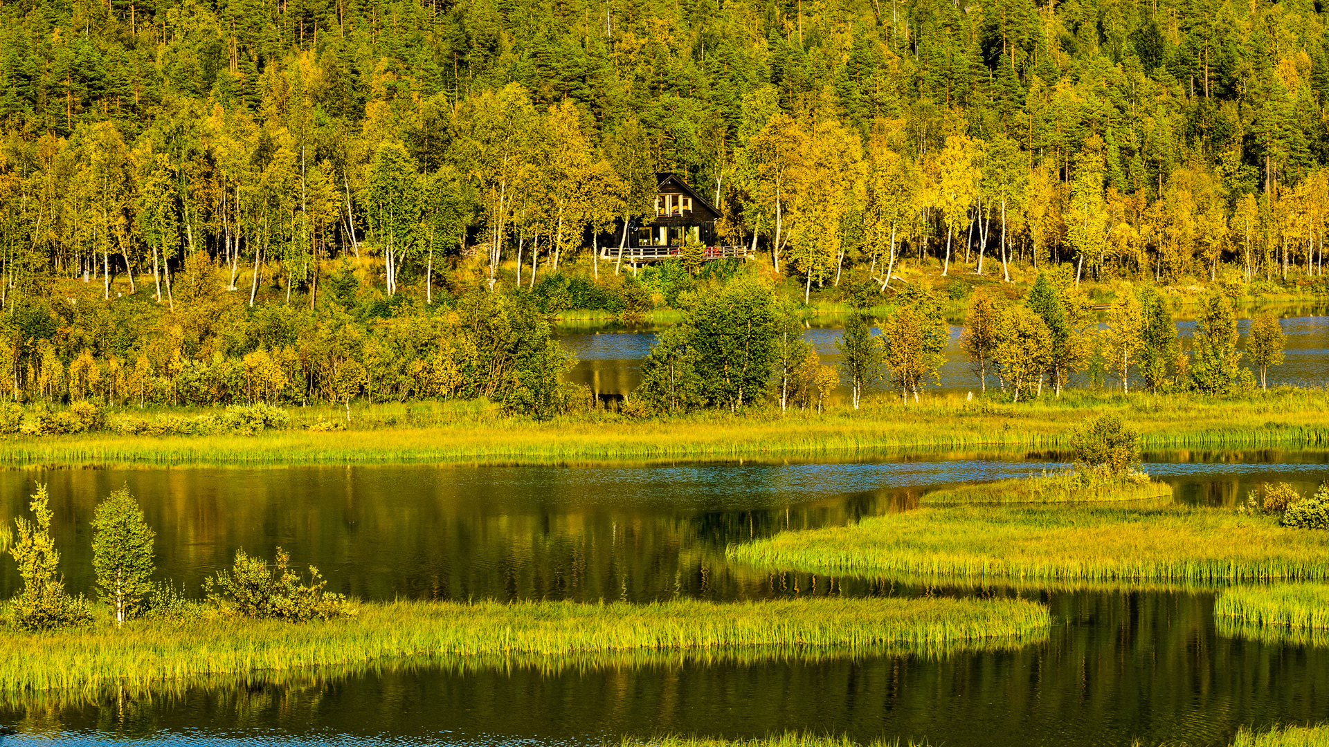 домик в лесу возле озера в Норвегии