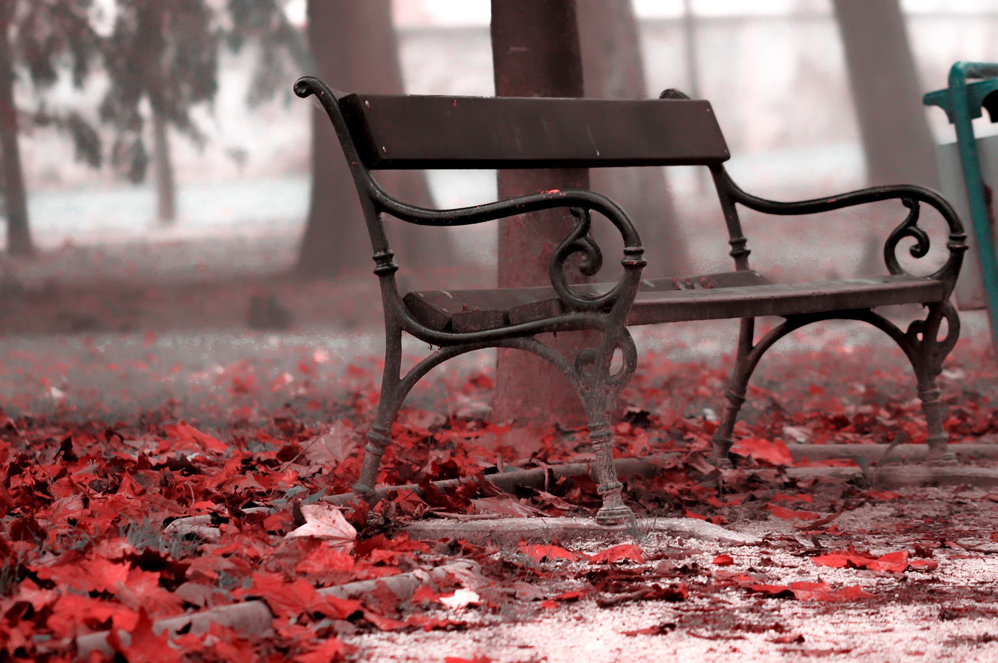 Фото бесплатно скамейка, опавшие листья, красные листья, осень, природа, парк, отдых