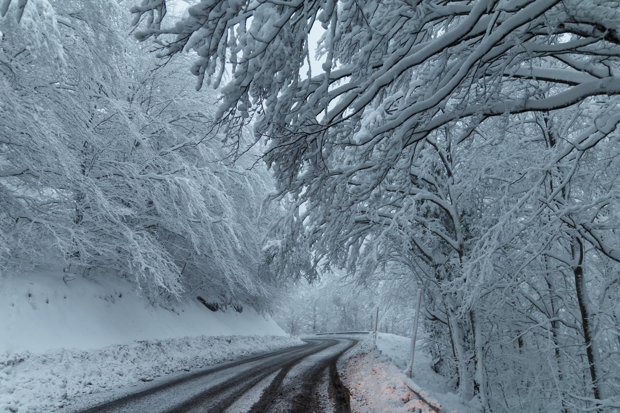 Фото бесплатно зима, снежная дорога, снег, иней