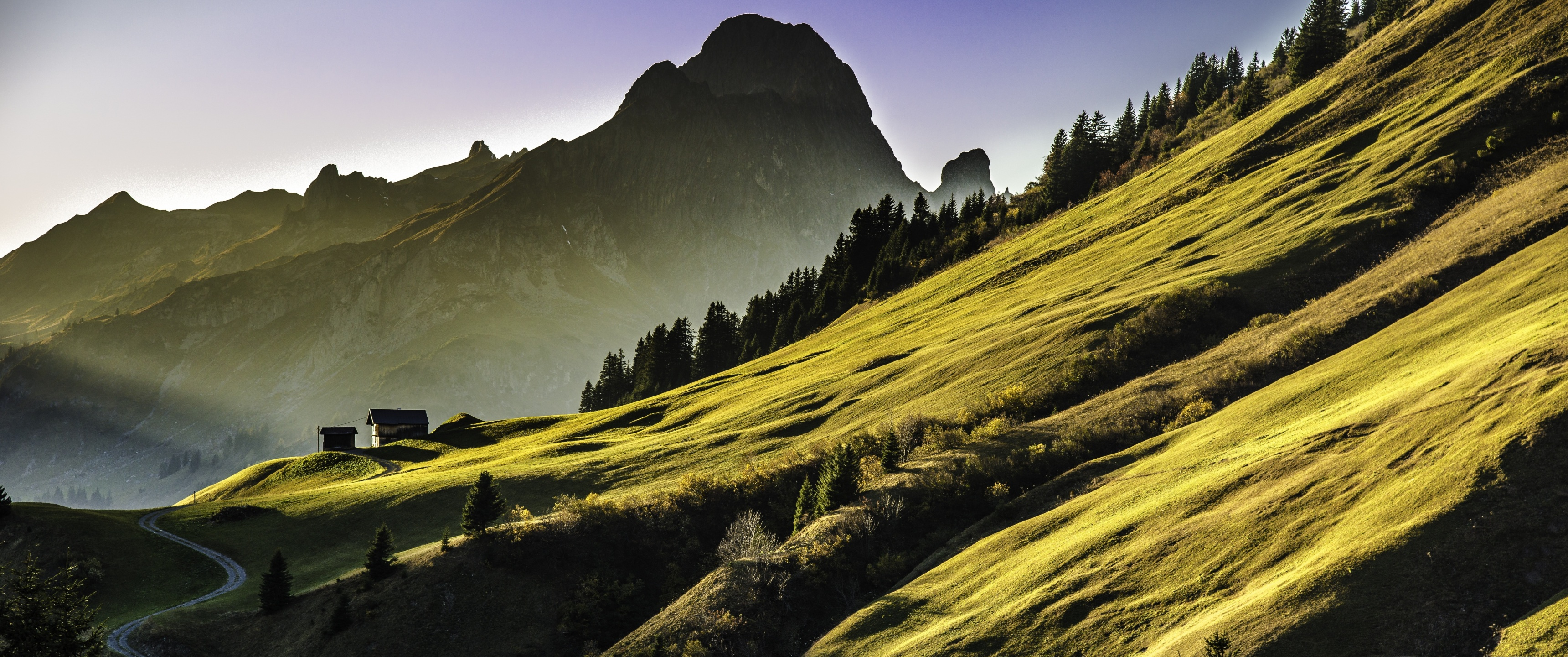 high alpine landscape, горы, природа, растения, 5К, 3440х1440