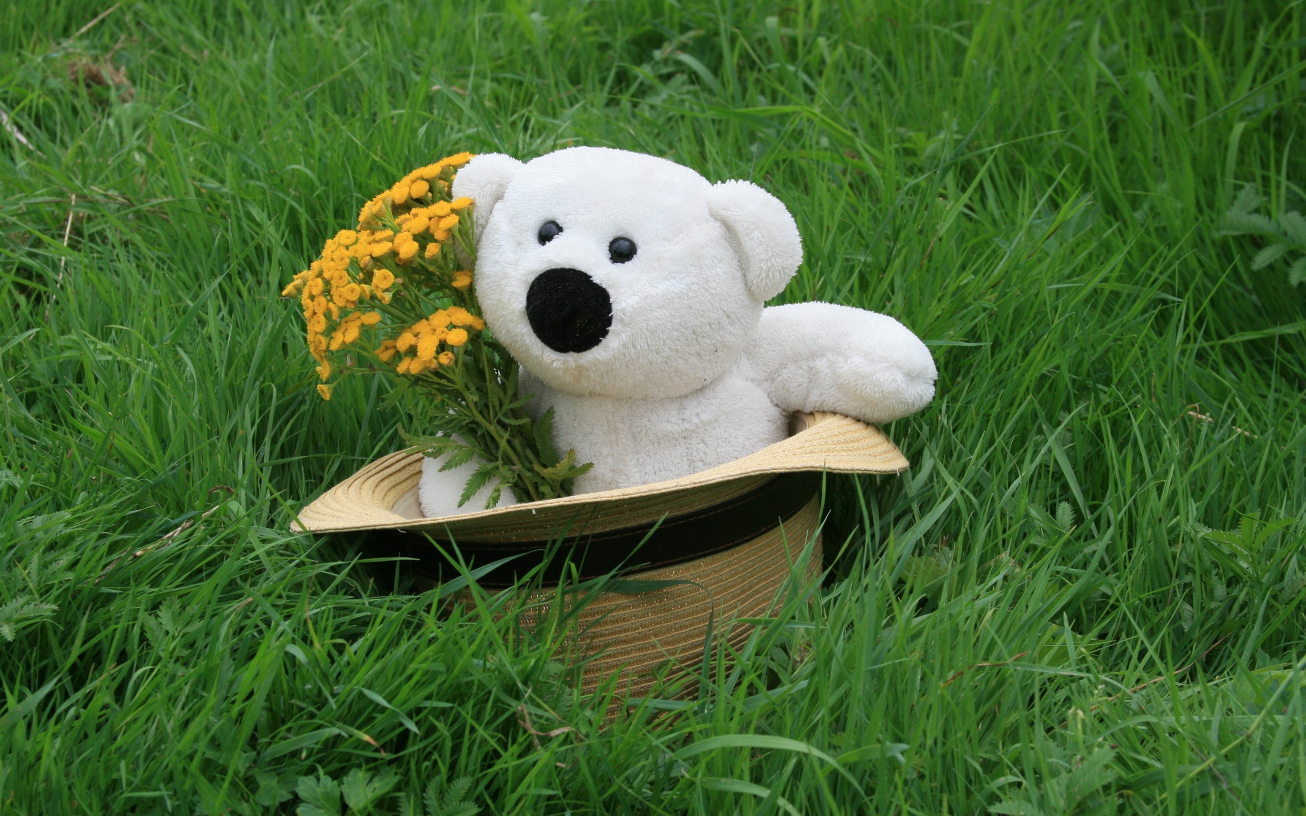 игрушка, белый медведь в шляпе, букет, зверобой, зелёная трава, лето