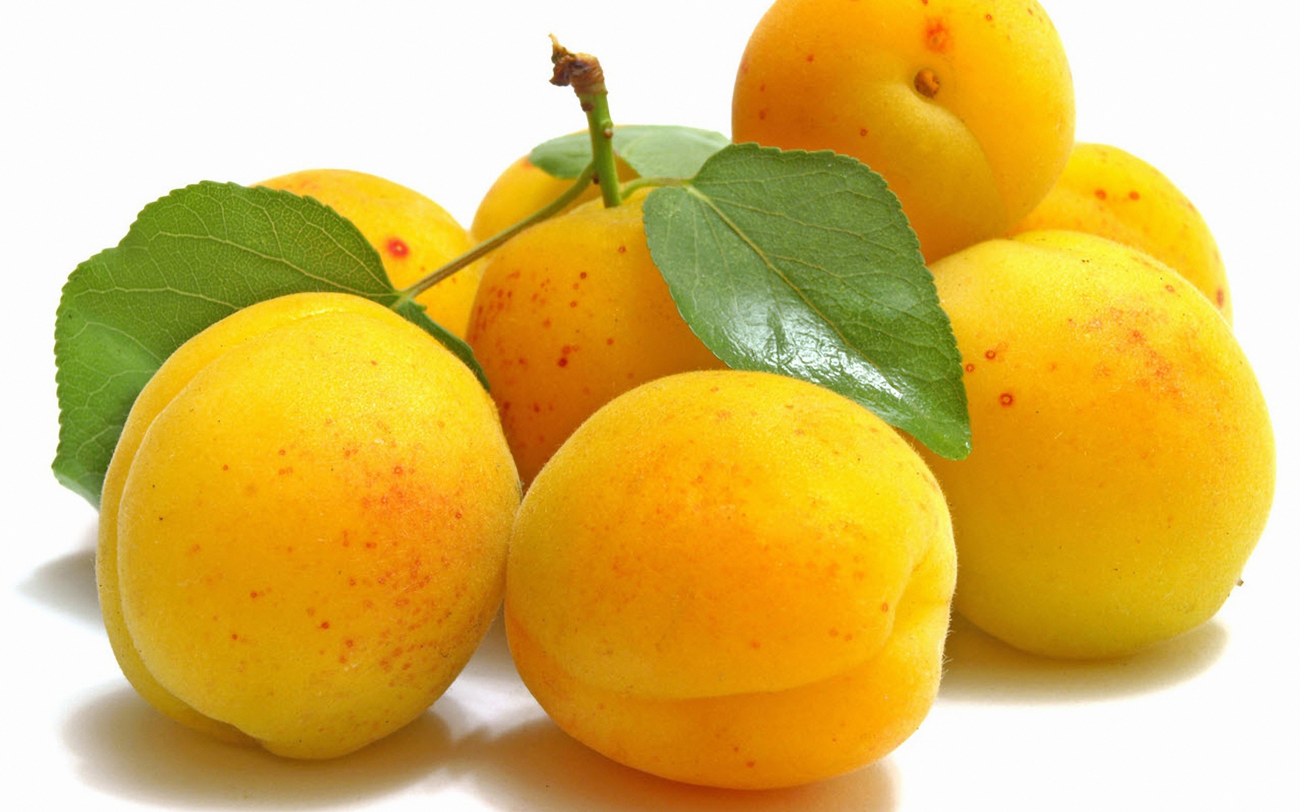 quad hd обои, фрукты, абрикосы, желтые, fruit, apricot, yellow