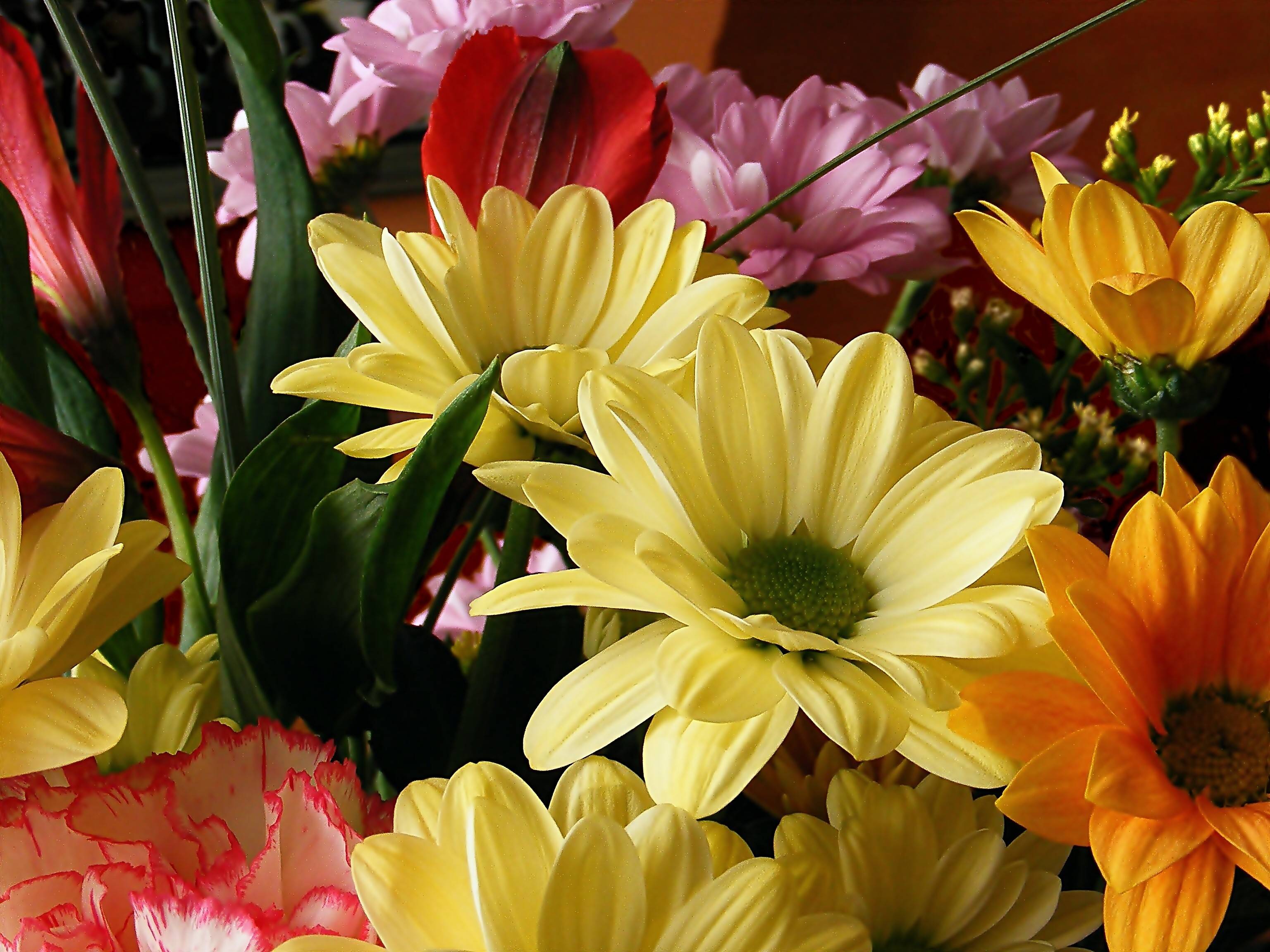 Фото бесплатно букет, желтые цветы, красивые цветы