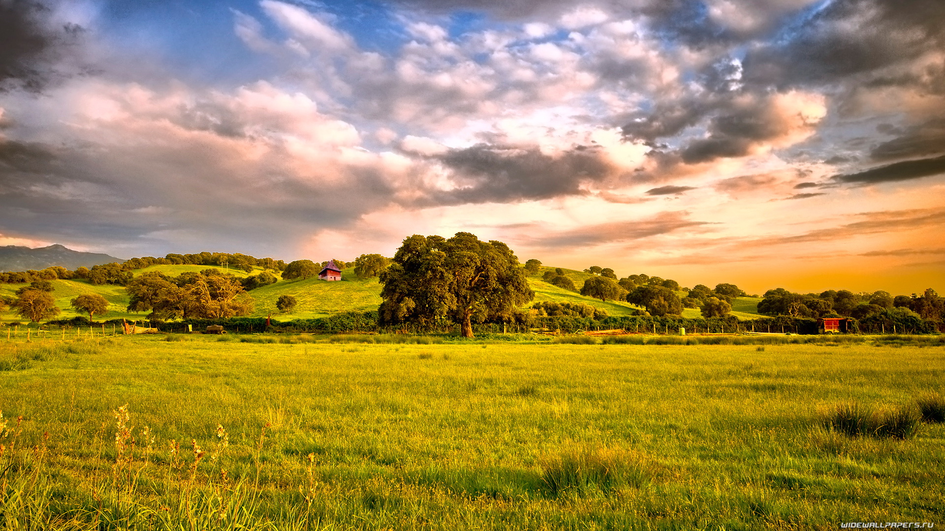 природа, луг, трава, деревья, холм, закат, небо, облака, обои скачать, Nature, meadow, grass, trees, hill, sunset, sky, clouds, wallpaper download