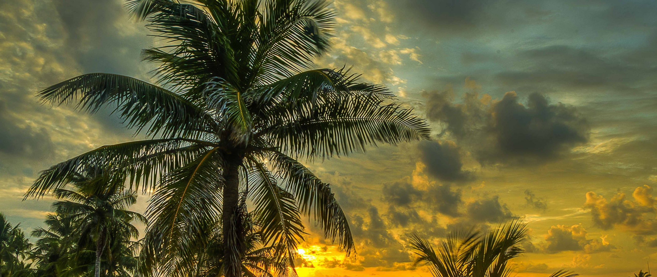 море, пальмы, вечер, закат, тучи, небо, тропики, 3440х1400, 4К обои, sea, palm trees, evening, sunset, clouds, sky, tropics