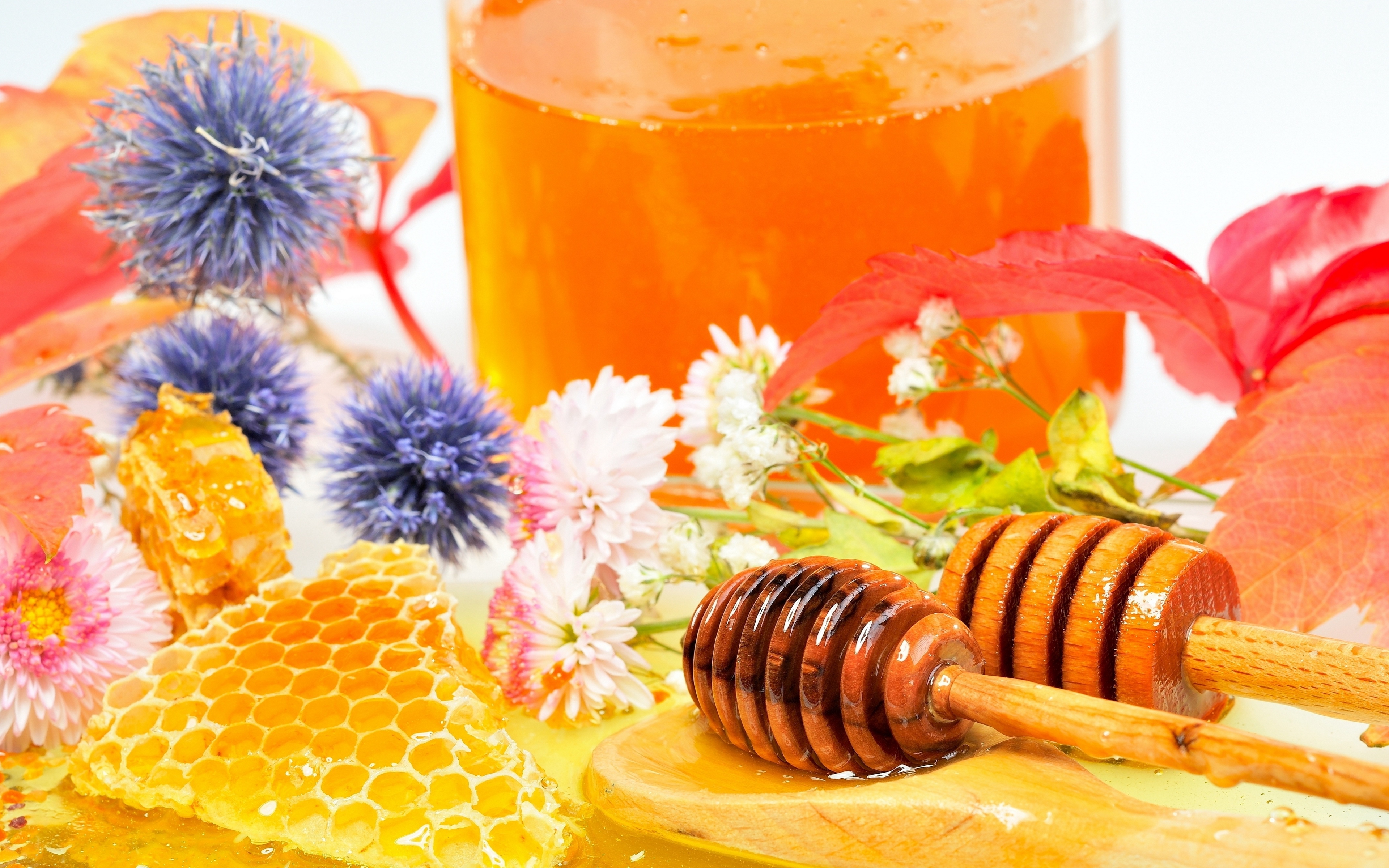honey, honeycombs, honey spoons, flowers, delicacy, dessert, 4K wallpaper 16: 4, мед, соты, ложки для меда, цветы, лакомство, десерт, 4К обои 16:4