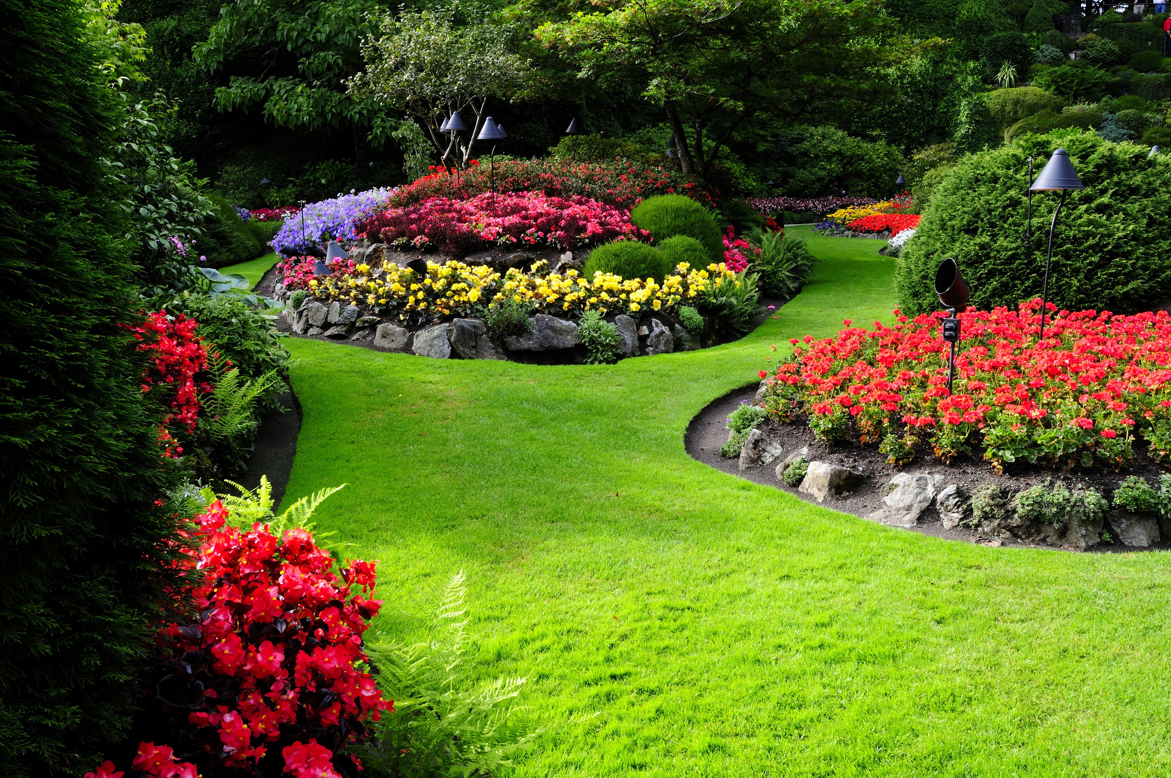 Фото бесплатно задний двор, кустарник, ландшафтный архитектор, цветы, клумбы, экстерьер