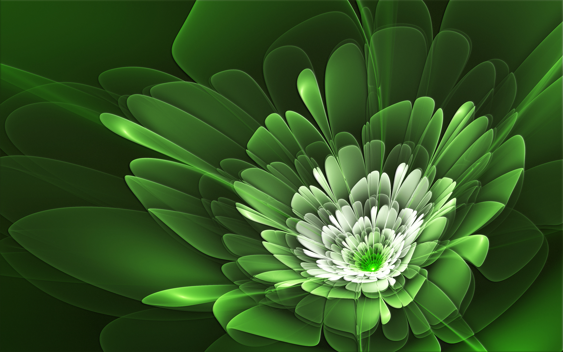 зеленый цветок, абстракция, красивый фон, green flowers, abstract, beautiful background