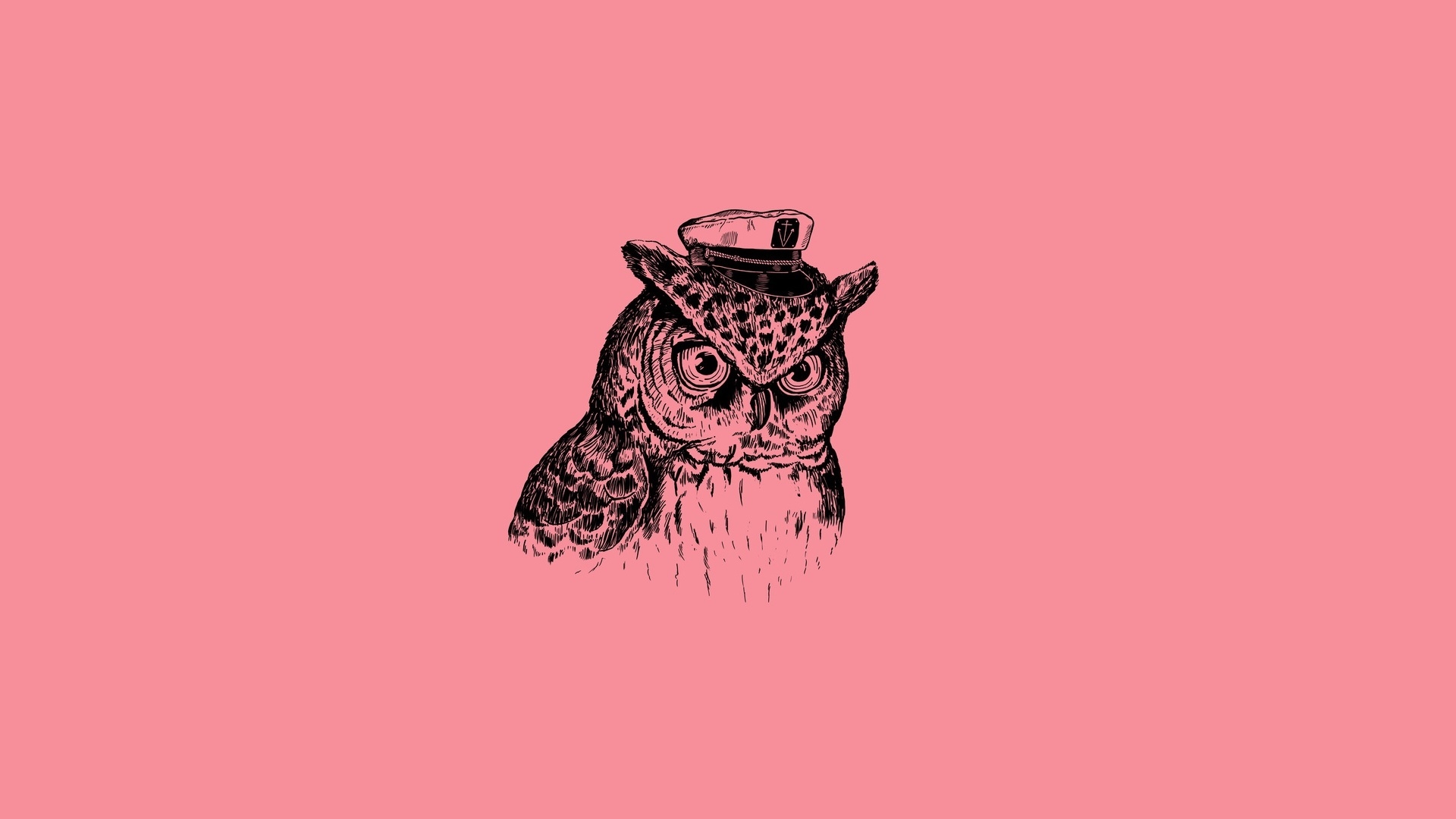 сова, минимализм, картинка, розовый фон, птица, рисунок, Owl, minimalism, picture, pink background, bird, drawing,