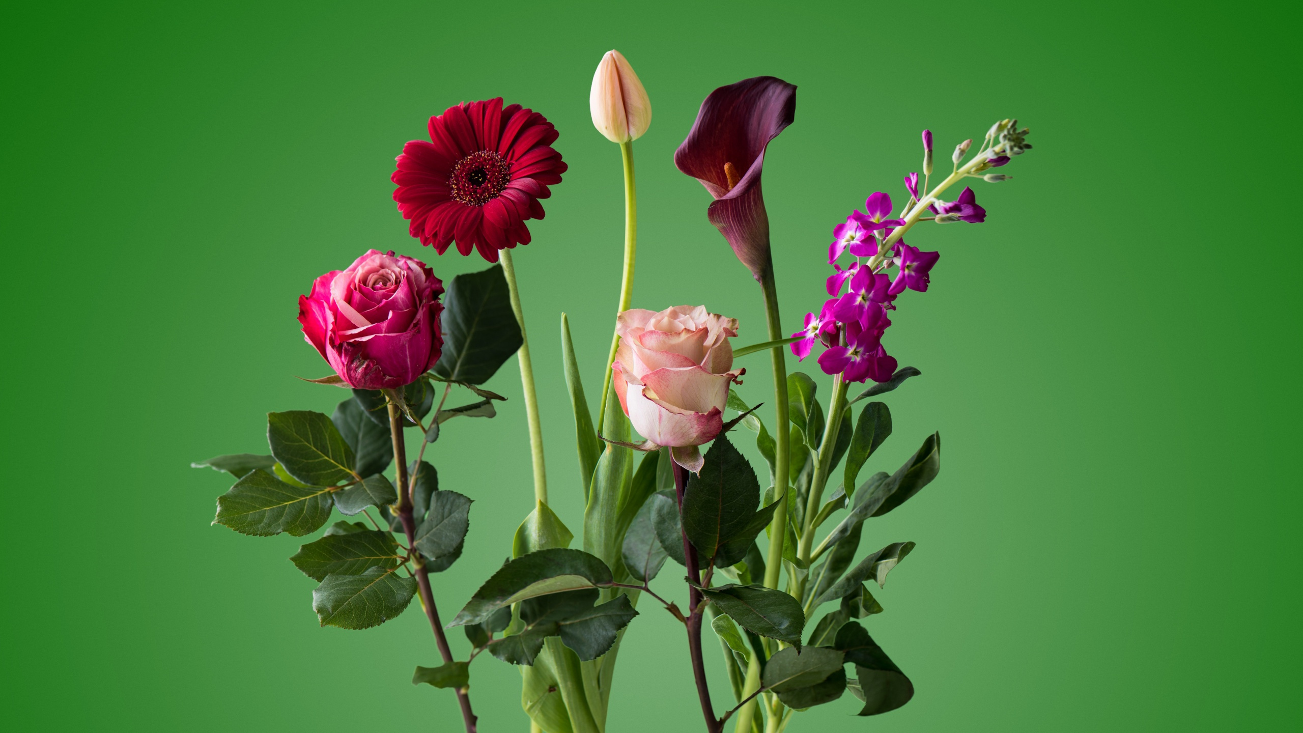 цветы, букет, flowers art design, зеленый фон, цветочный дизайн, обои 2560х1440
