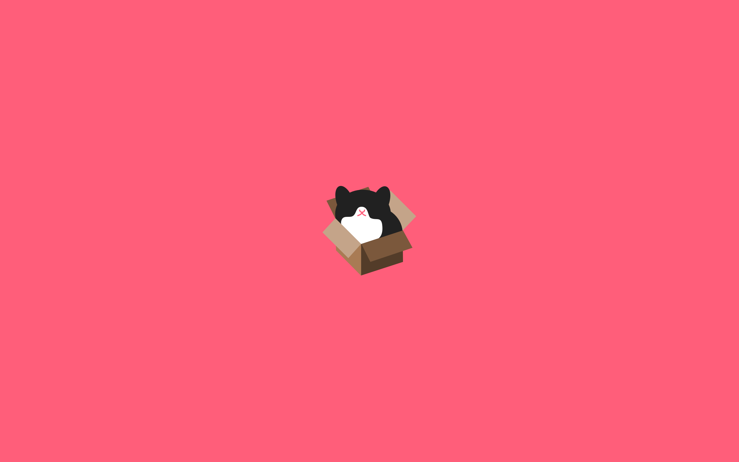minimalism, a cat in the box, pink background, wallpapers, बॉक्स में एक बिल्ली, गुलाबी पृष्ठभूमि, वॉलपेपर