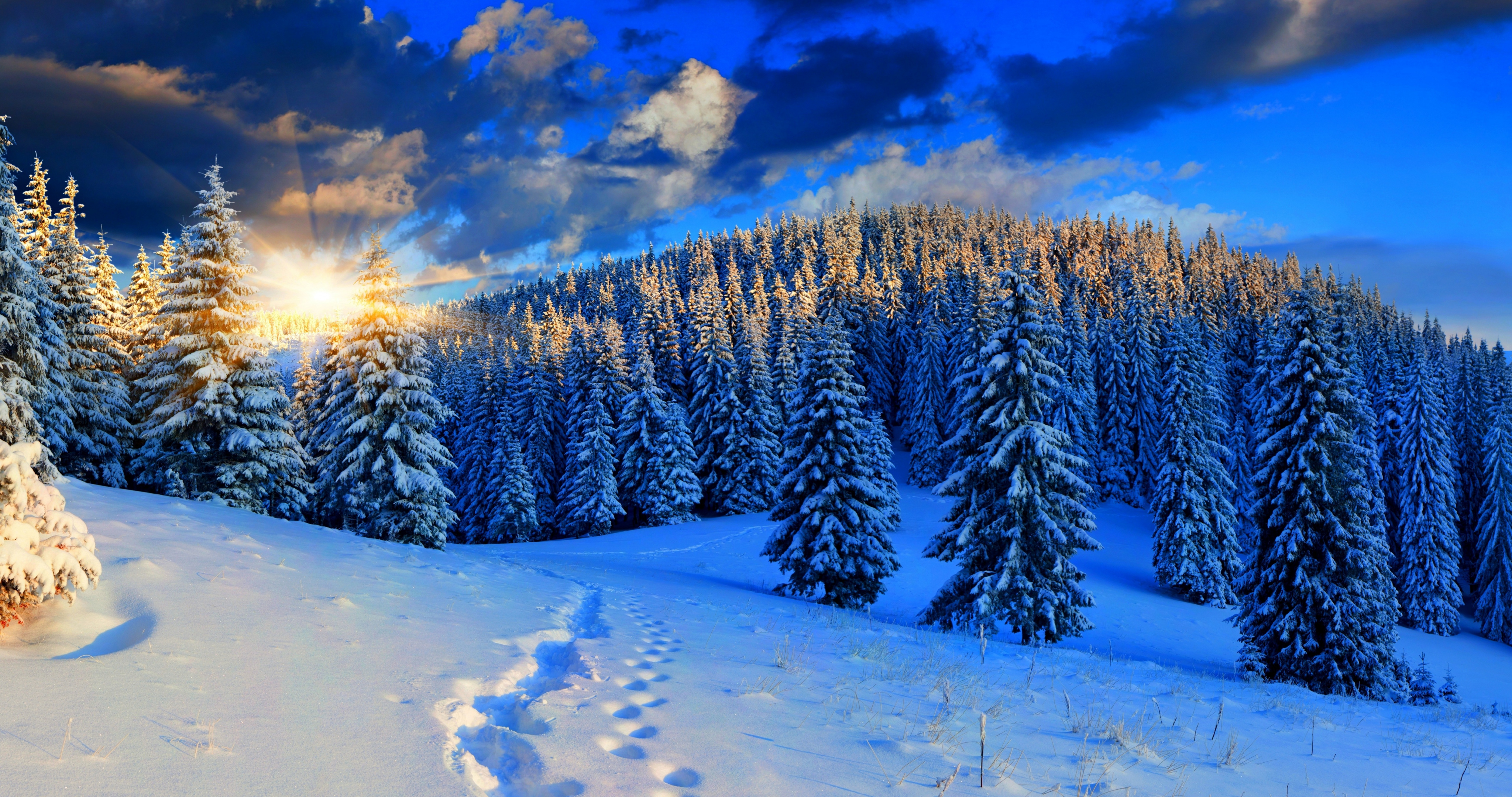 Обои на рабочий стол snow, снег, beautiful, forest, white, sunset, winter, nice, path, nature, зима, природа, пейзаж, cool, небо, road, sky